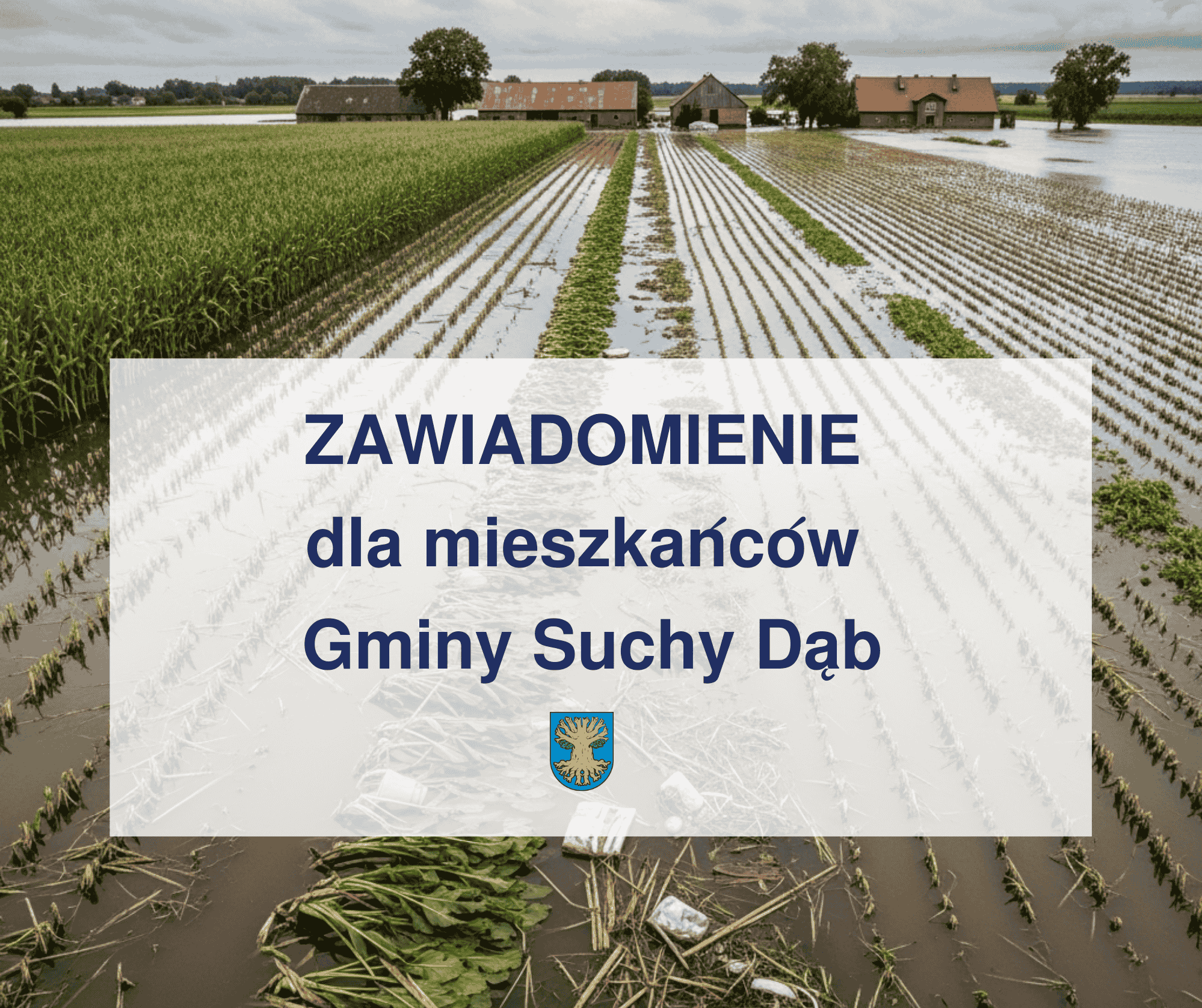 szkody