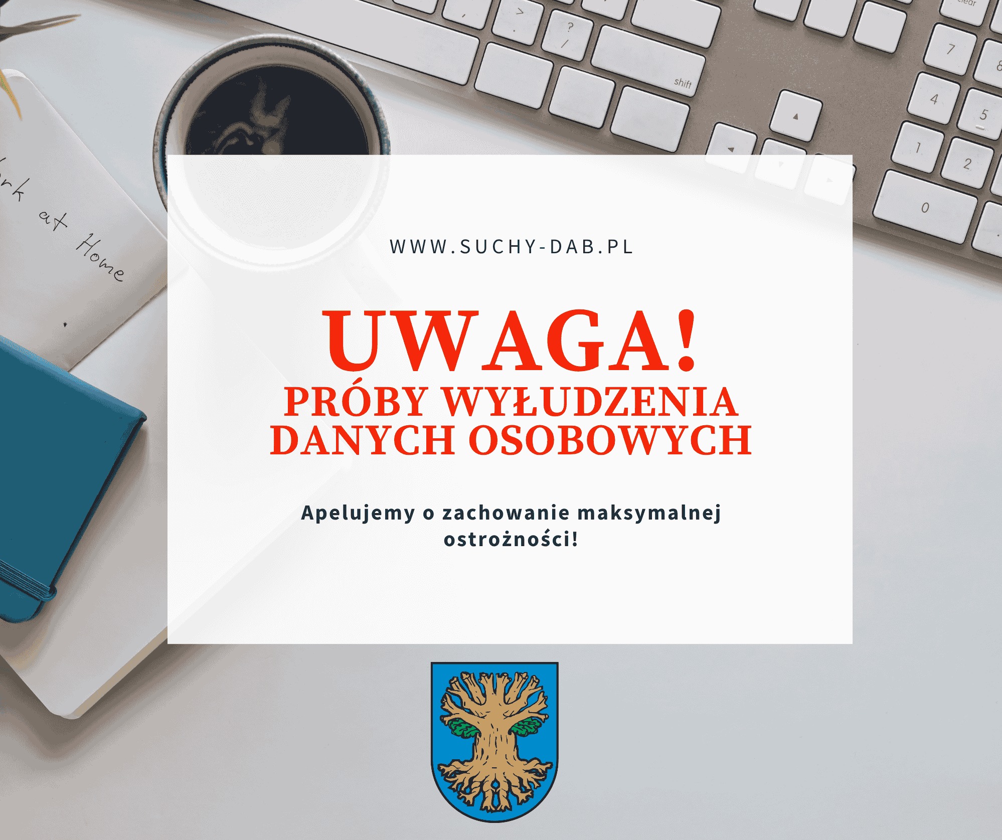 wyłudzenia